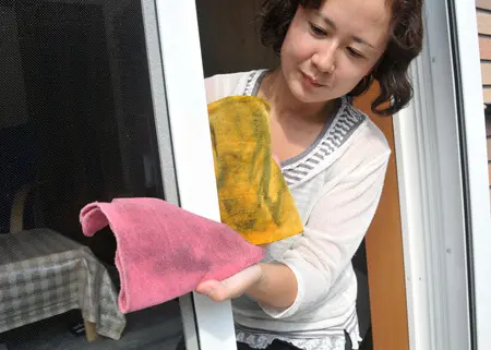 網戸：表裏