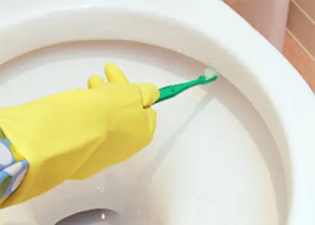 便器に歯ブラシ