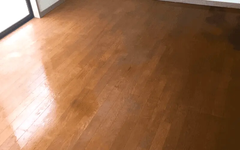 依頼されたゴミ屋敷を清掃した後の現場