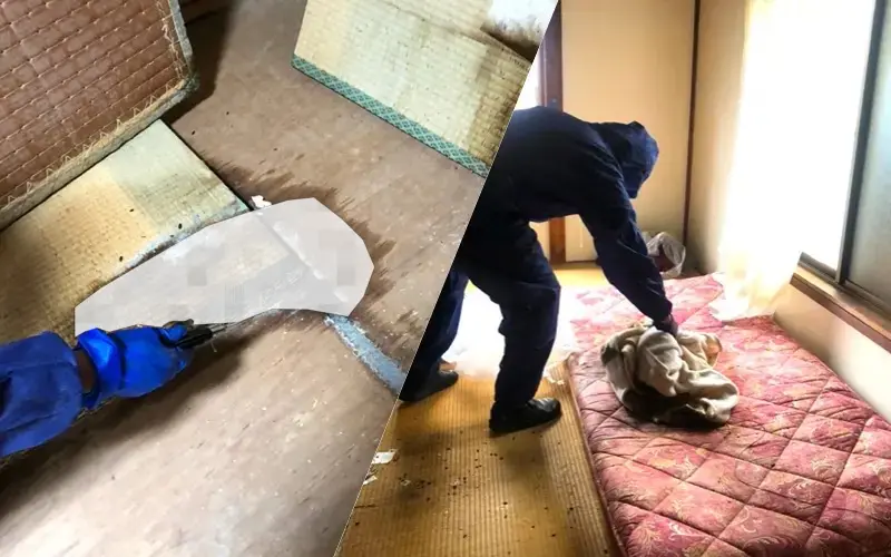 汚物撤去