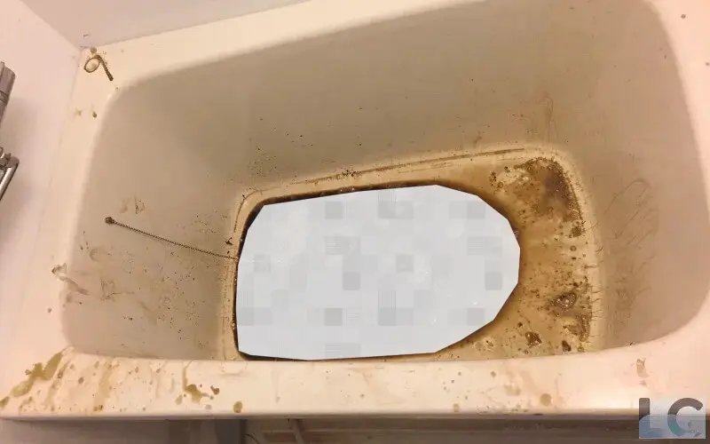 事例写真④：消臭が難しい腐敗した体液で汚染された水