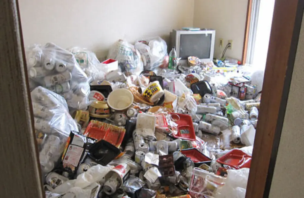 ゴミ屋敷 特殊清掃